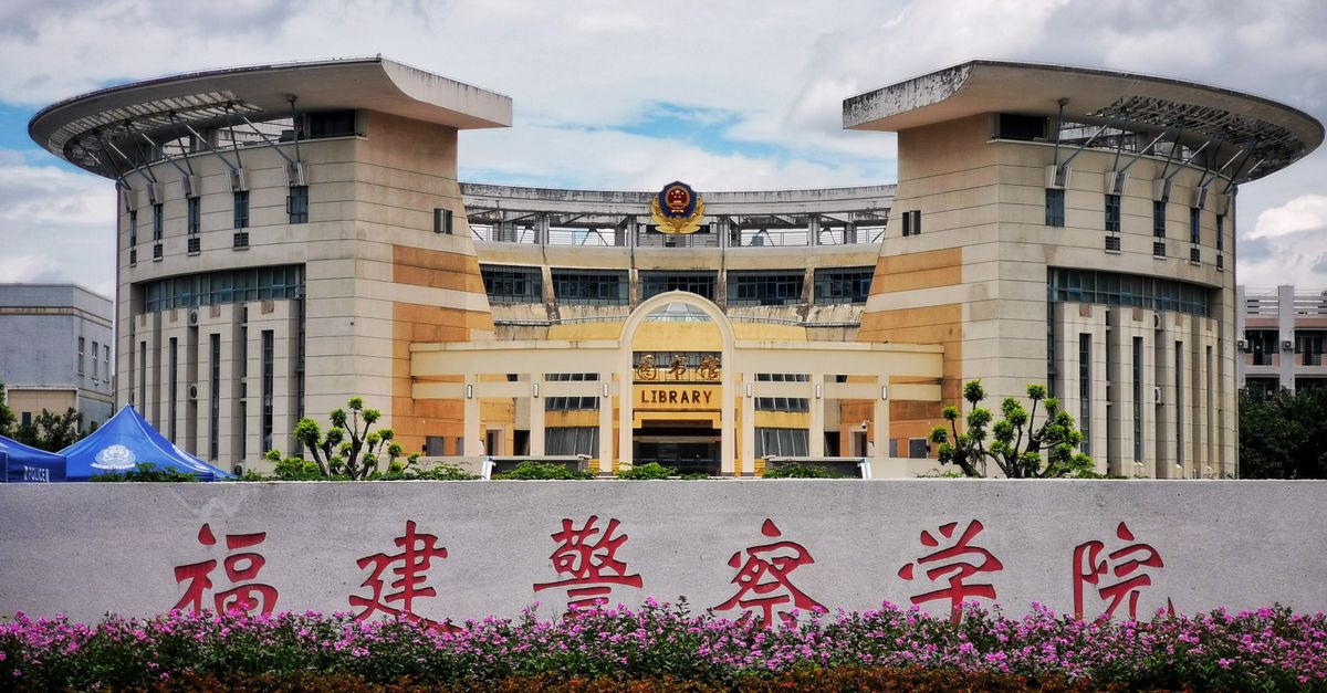 Chinese Government Scholarship